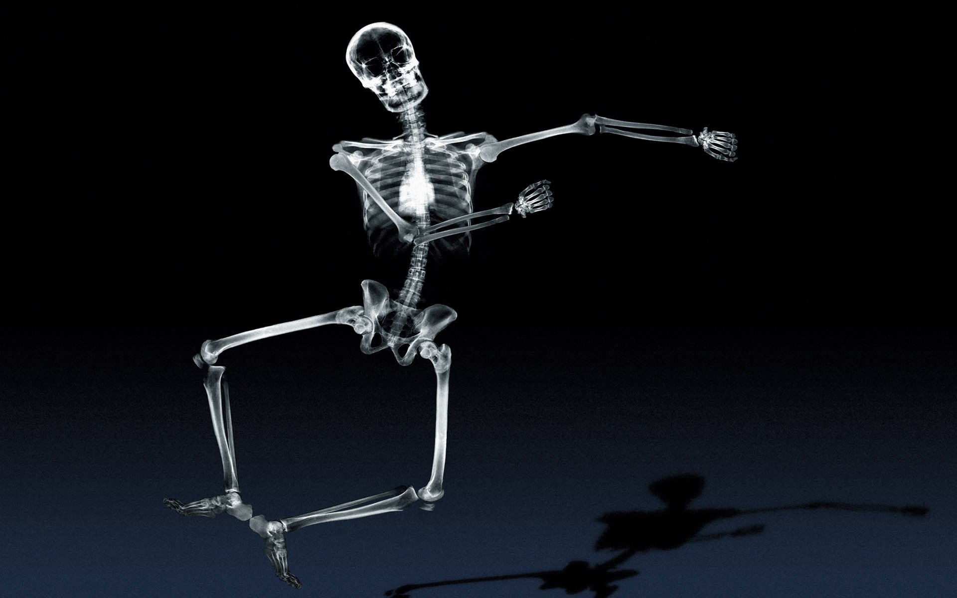 Skeleton Full HD Wallpaper and Background Image | 1920x1200 | ID:173188