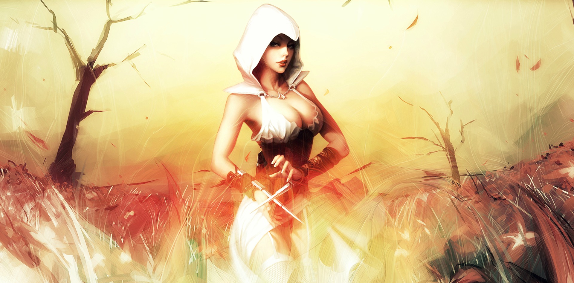 Jeux Vidéo Assassin's Creed Fond d'écran HD | Image