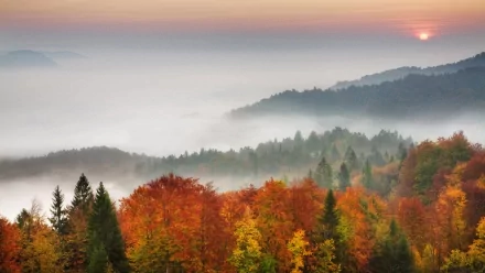 nature scenic HD Desktop Wallpaper | Background Image