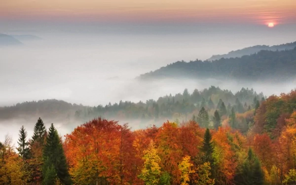 nature scenic HD Desktop Wallpaper | Background Image
