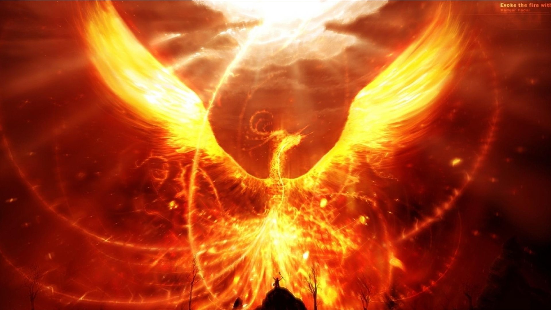 52 Phoenix HD Wallpapers Background Images Wallpaper Abyss