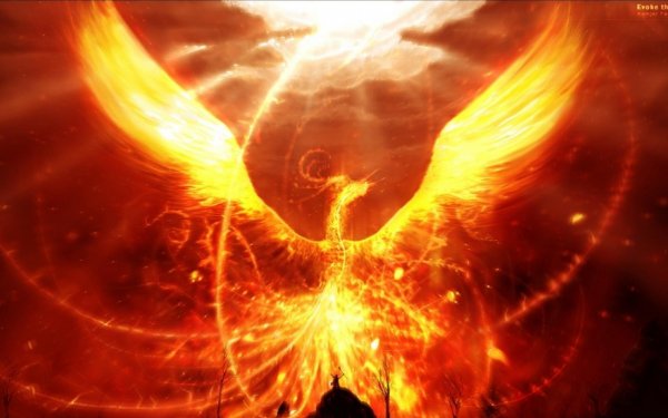 Fantasy Phoenix Fantasy Animals Fire HD Wallpaper | Background Image
