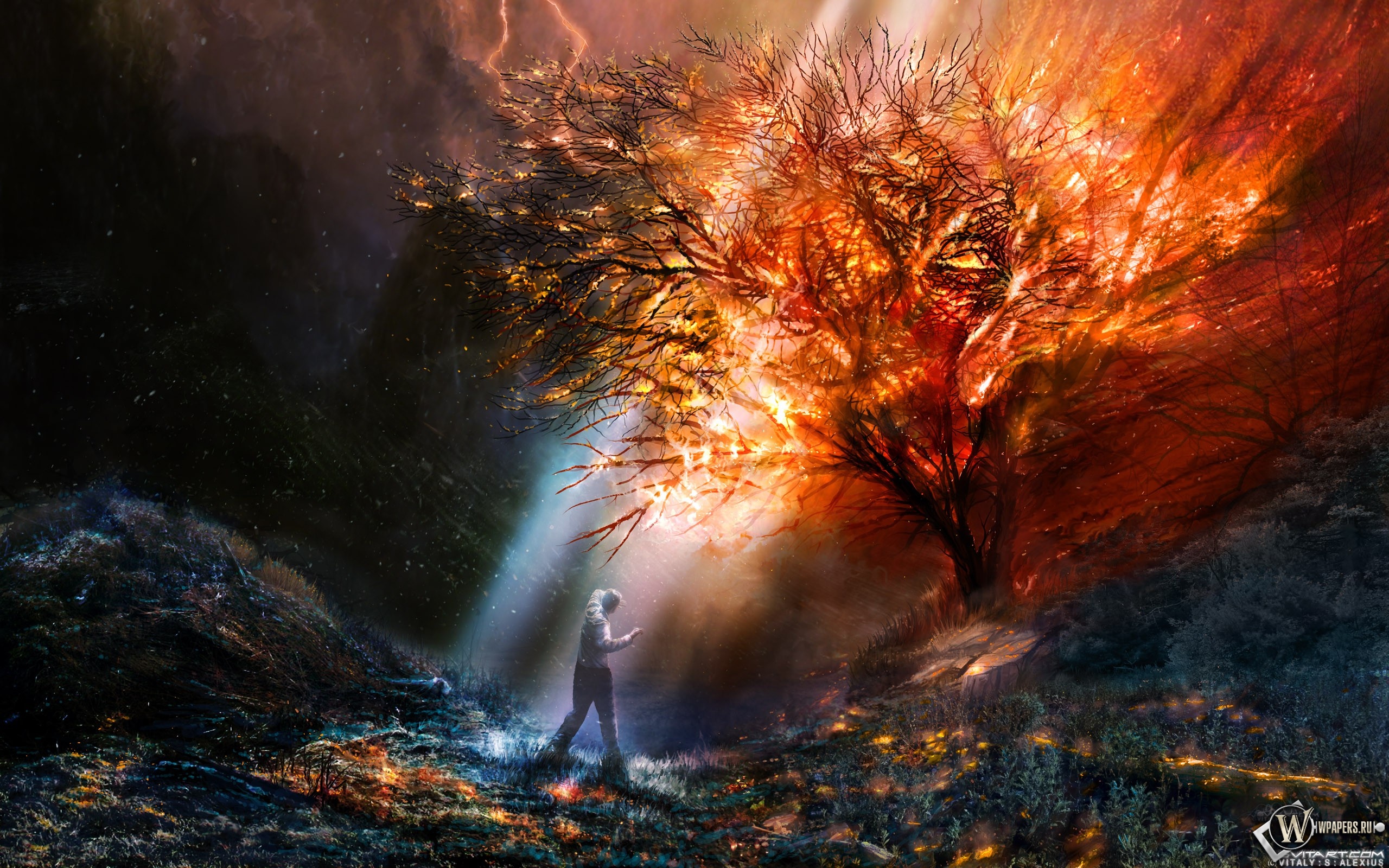 Burning tree HD Wallpaper | Background Image | 2560x1600