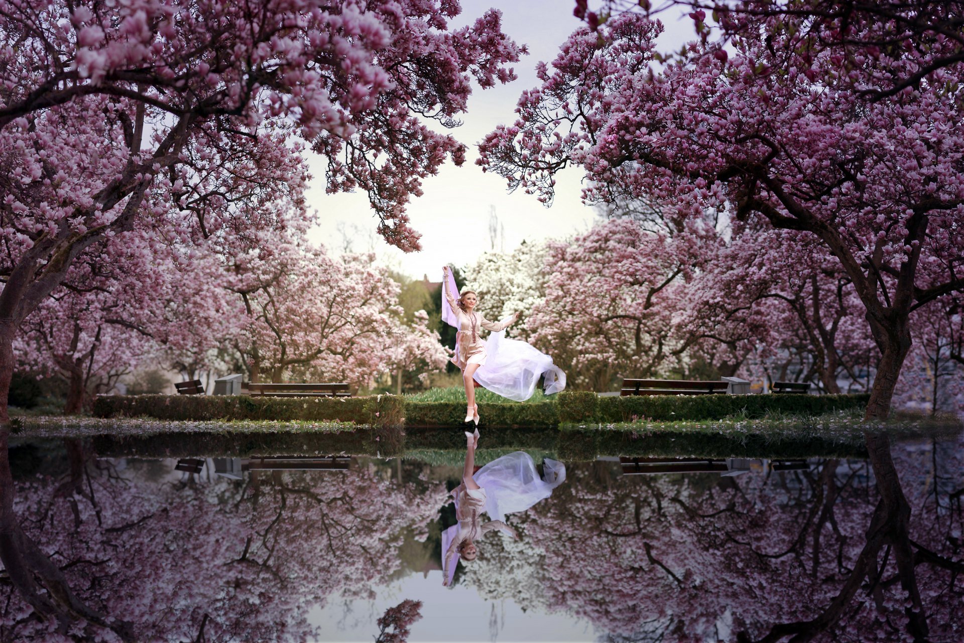 HD PC desktop wallpaper featuring a woman performing ballet amid blooming pink cherry blossom trees, with her reflection mirrored in the calm water below.