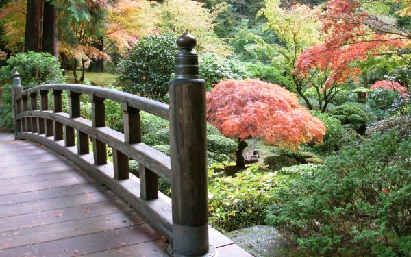 Hecho por el hombre Puente Puentes Jardín Japón Árbol Fondo de pantalla HD | Fondo de Escritorio
