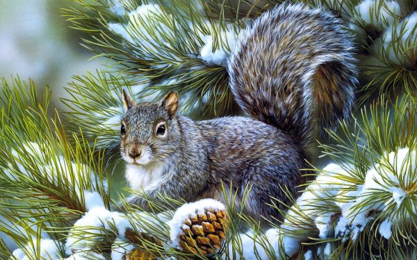Animal Squirrel Winter Painting Rodent HD Wallpaper | Background Image