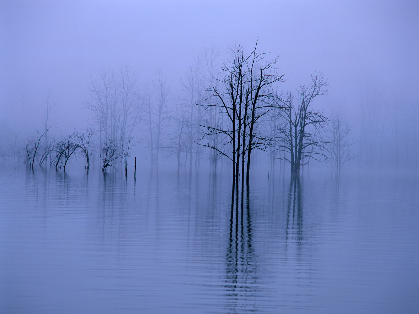 creepy lake