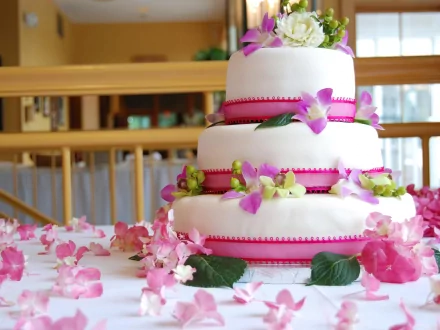 food cake HD Desktop Wallpaper | Background Image