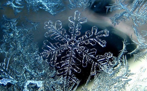 Tierra/Naturaleza Snowflake Macrofotografía Fondo de pantalla HD | Fondo de Escritorio