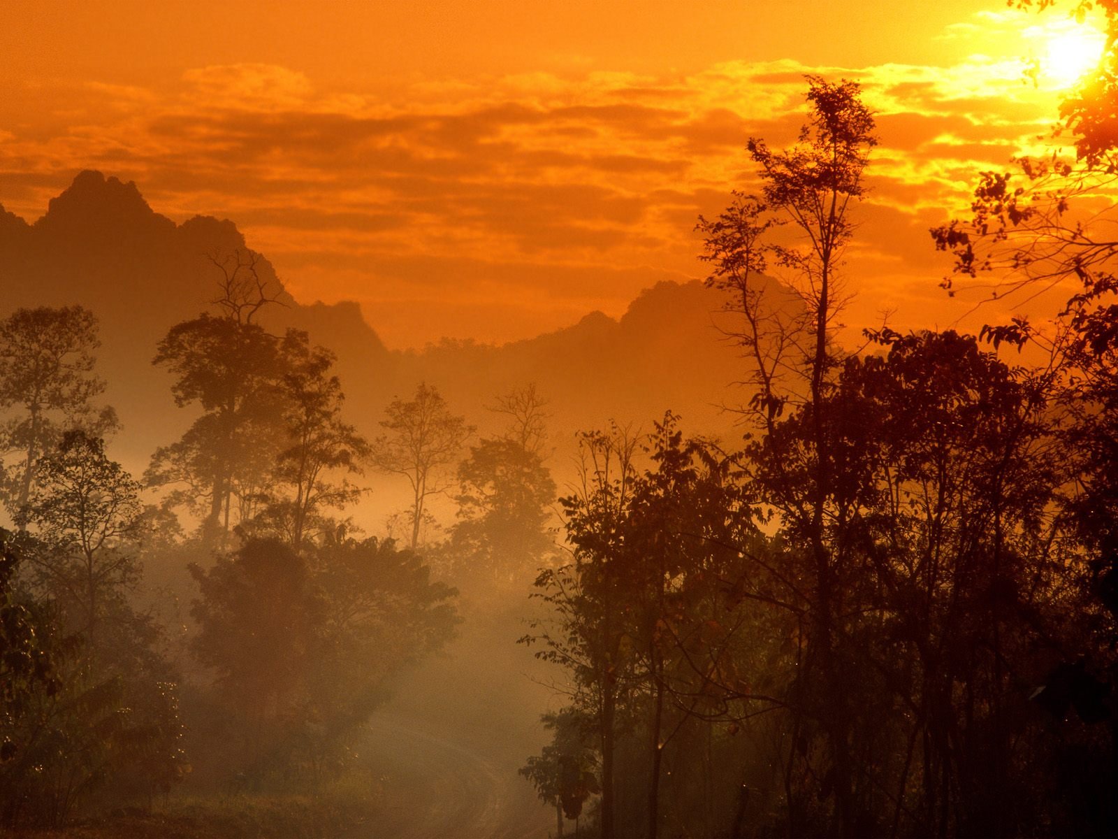 HD PC desktop wallpaper and background — nature fog scene: warm orange sunrise through mist, silhouetted trees and distant mountains.
