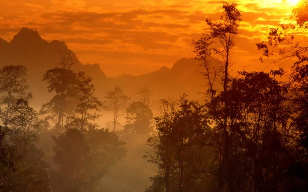 HD PC desktop wallpaper and background — nature fog scene: warm orange sunrise through mist, silhouetted trees and distant mountains.