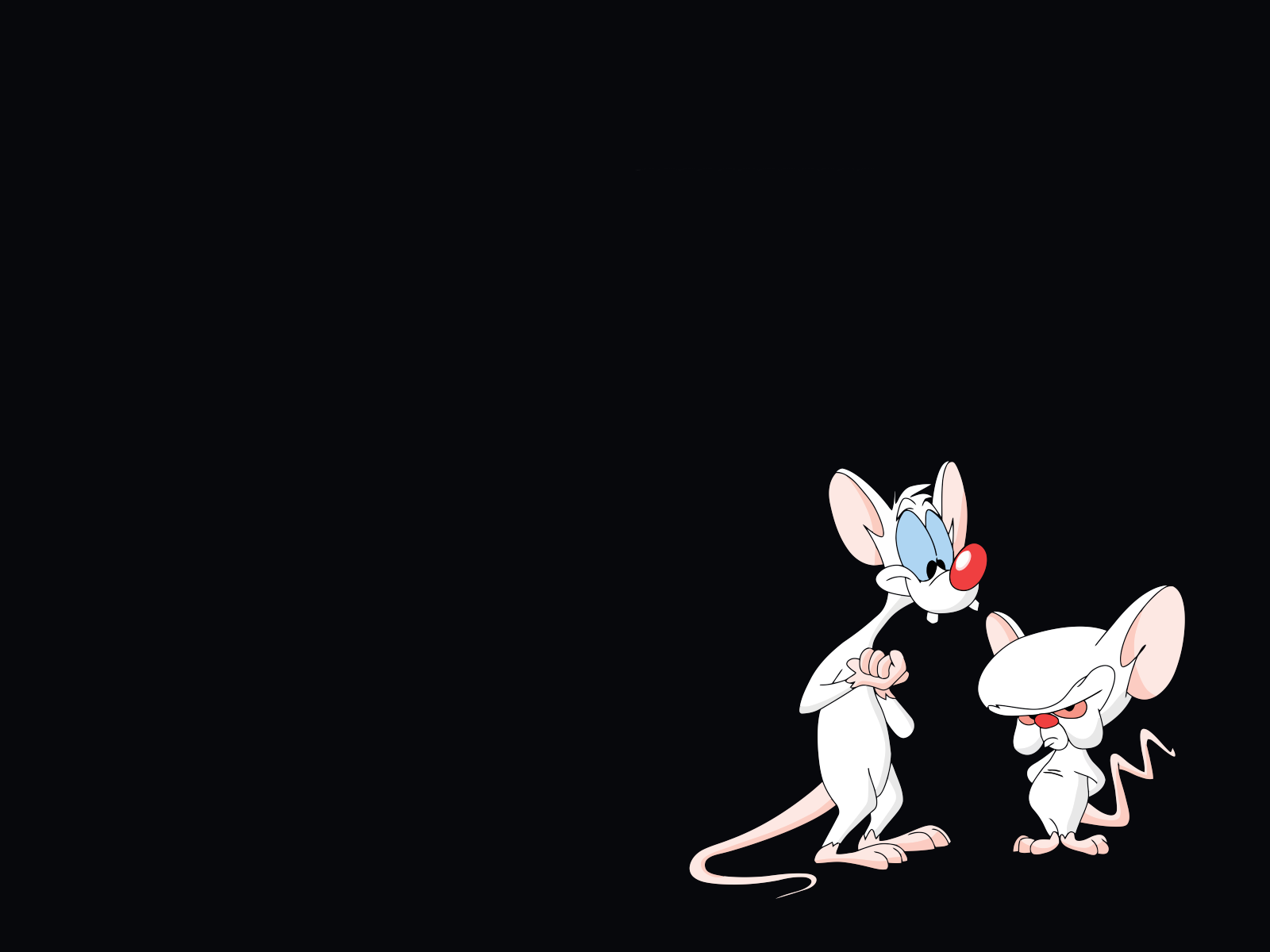 Pinky And The Brain Wallpaper