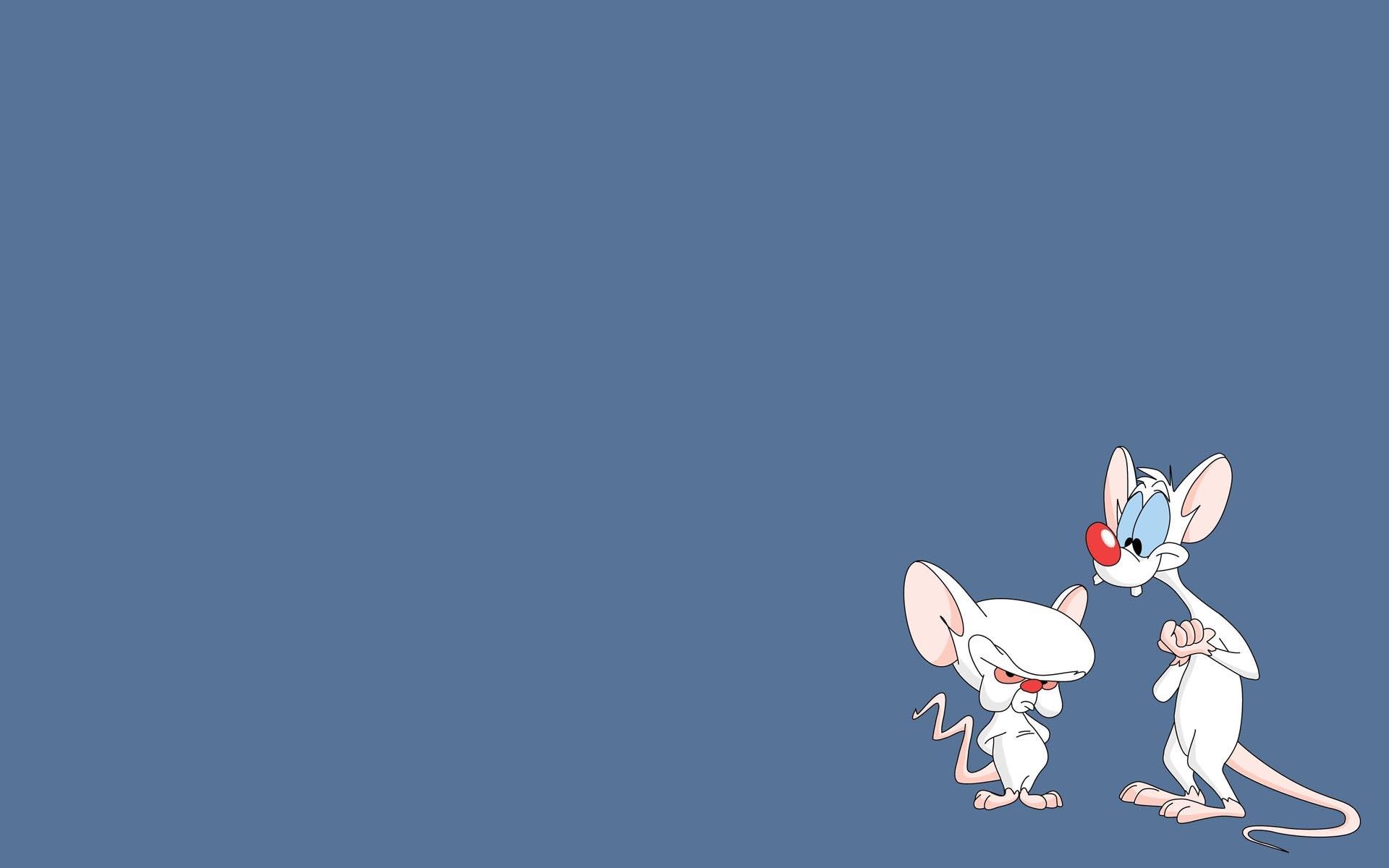 Download TV Show Pinky And The Brain  HD Wallpaper