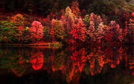 HD PC desktop wallpaper showcasing a scenic view of vibrant autumn trees reflected on a calm lake, highlighting nature's rich red and orange hues.