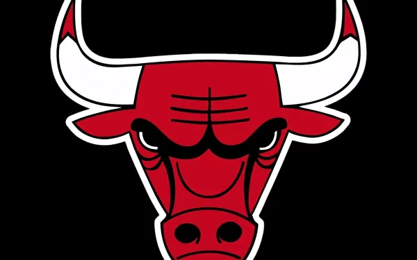 Chicago Bulls Sports HD Desktop Wallpaper | Background Image