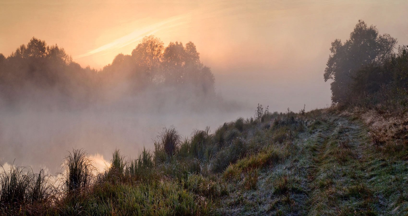 Serene Morning Mist: HD Nature Wallpaper | 1700x900 | Wallpaper Abyss