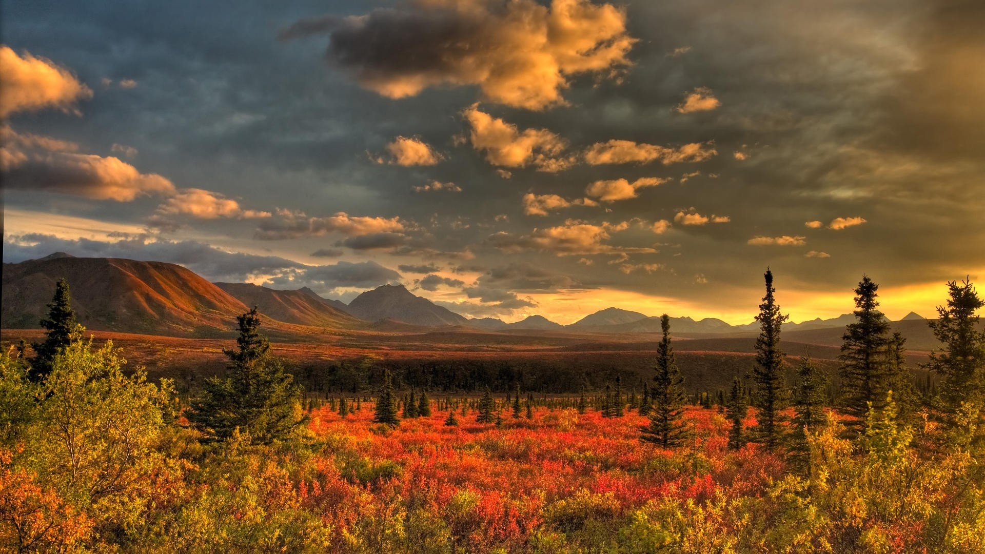 Download Nature Scenic HD Wallpaper
