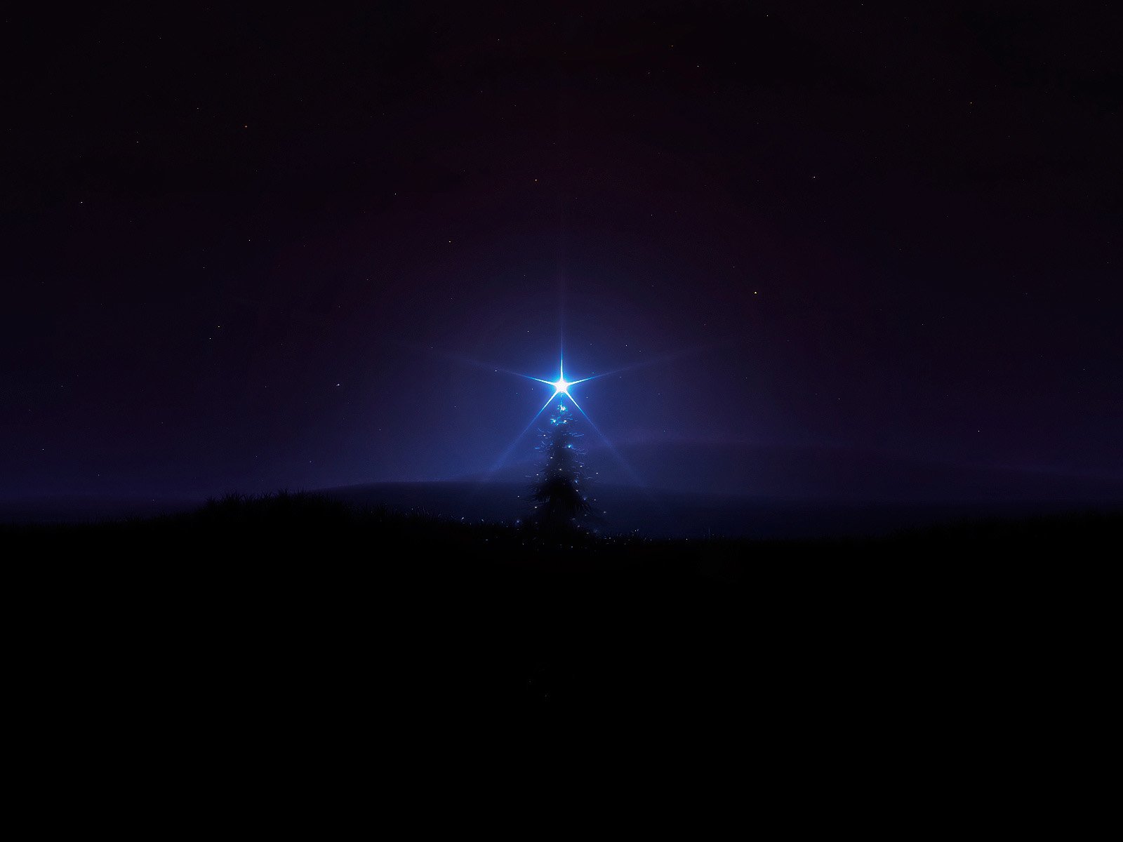 A serene Christmas scene featuring a shining star above a silhouette of a tree, set against a dark, starry backdrop. This HD wallpaper captures the essence of the holiday spirit.