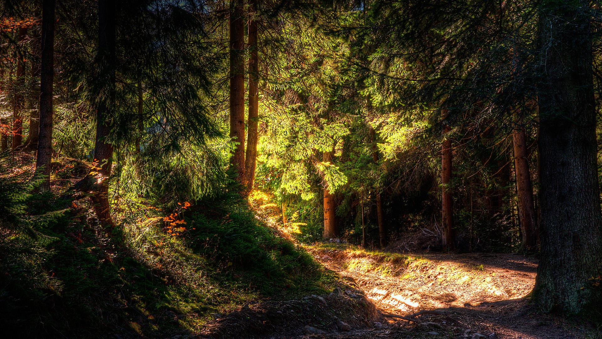 Naturaleza Paisaje Fondo de pantalla HD | Fondo de Escritorio