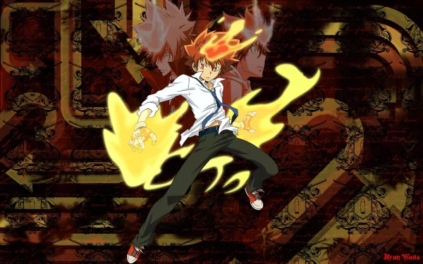 HD wallpaper featuring Tsunayoshi Sawada from Katekyō Hitman Reborn! in a dynamic pose with fiery effects, capturing the essence of the anime's action-packed spirit.