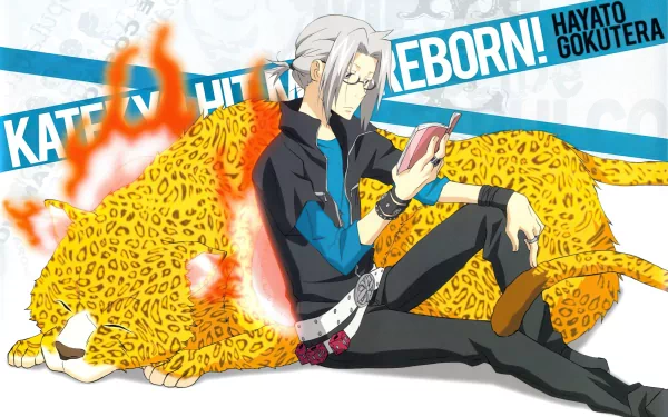 Hayato Gokudera Anime Katekyō Hitman Reborn! HD Desktop Wallpaper | Background Image