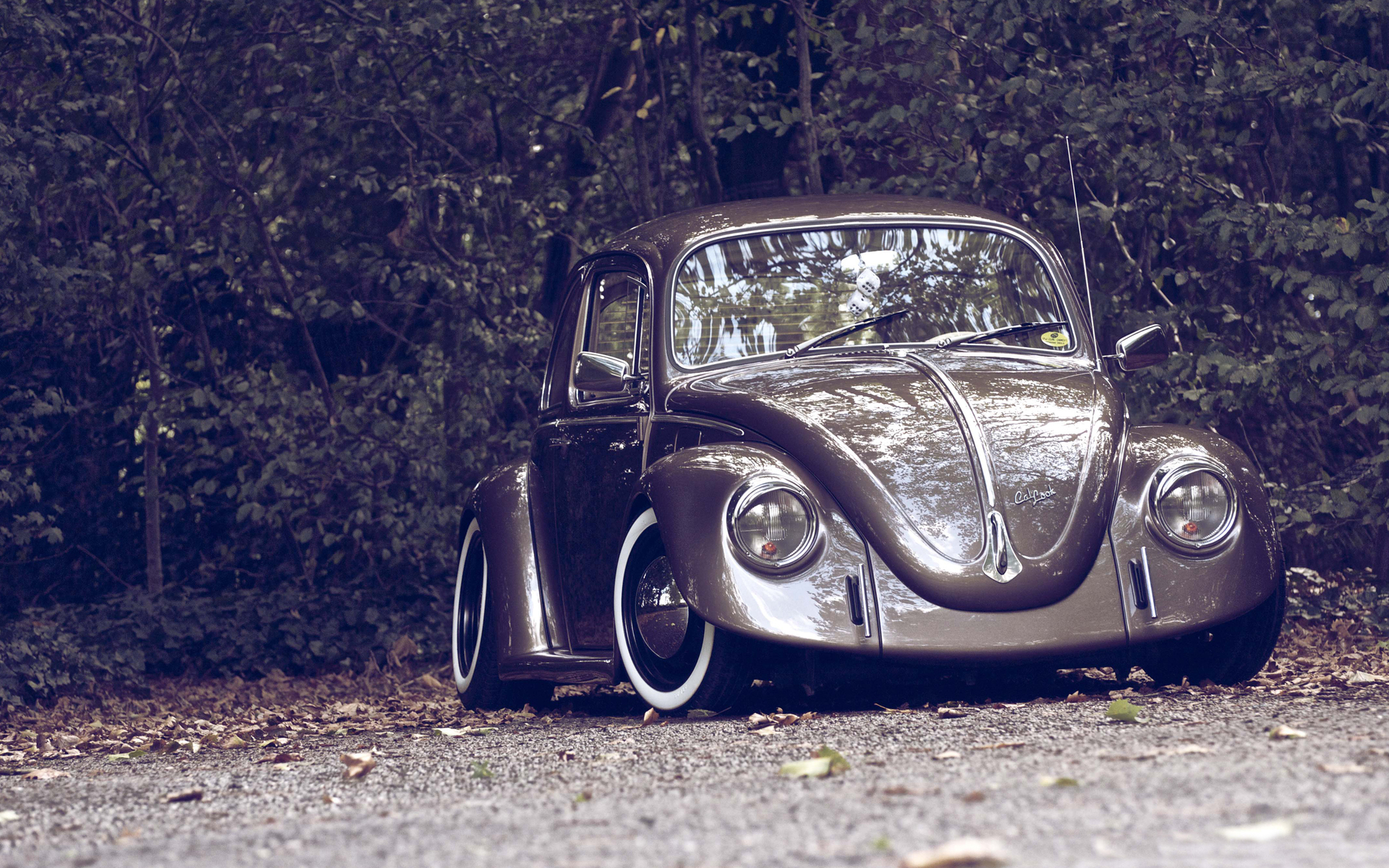Vehicles Volkswagen Beetle HD Wallpaper | Background Image