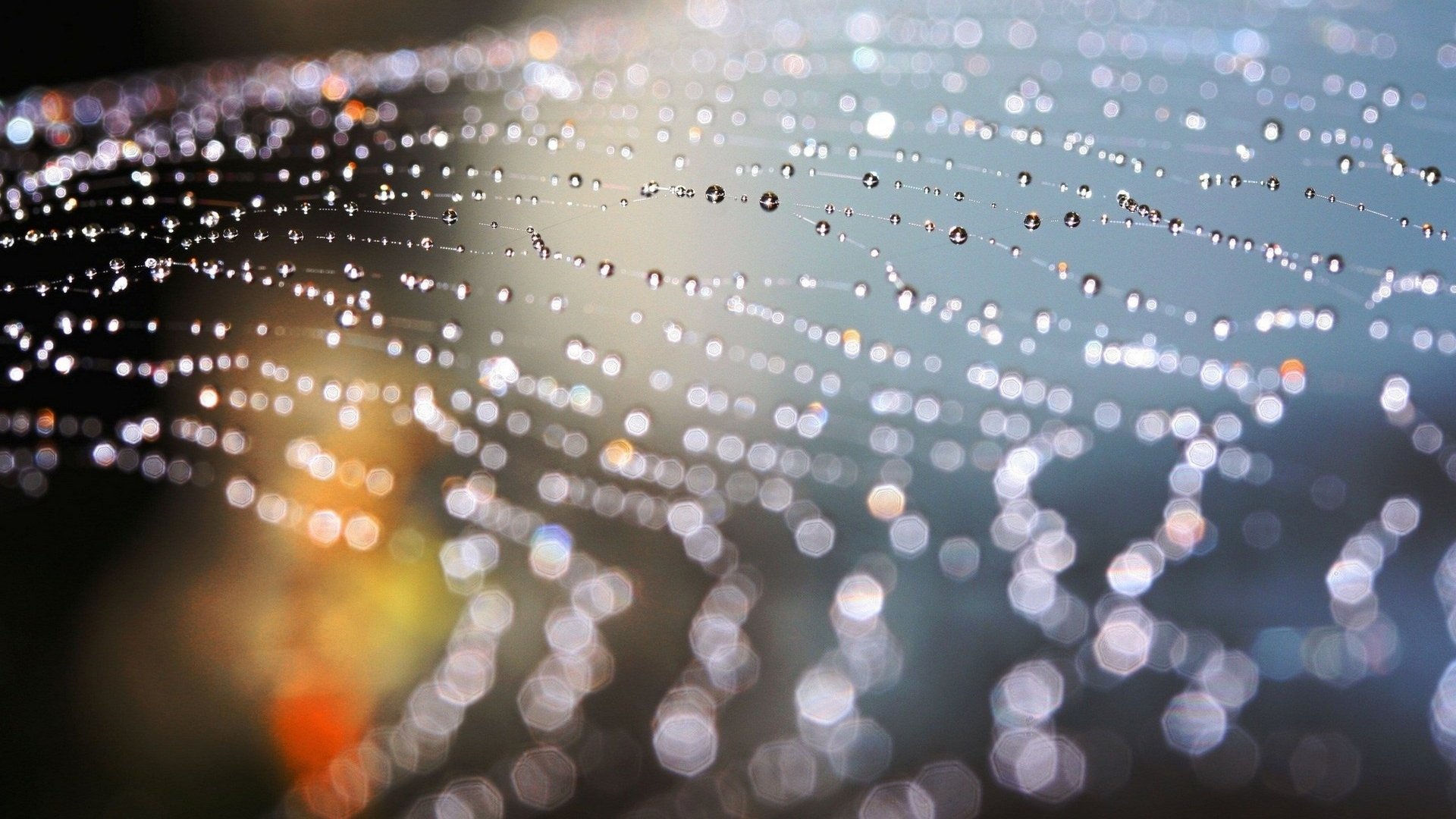 HD PC desktop wallpaper: macro photography of a spider web beaded with dew drops, sparkling bokeh highlights against a soft blurred background.