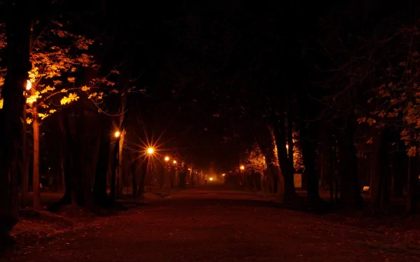 HD PC desktop wallpaper of a dimly lit man-made alley at night, with streetlights casting a warm glow through the trees lining the path.