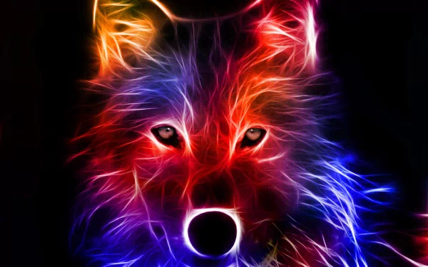 colorful fractal Animal wolf HD Desktop Wallpaper | Background Image