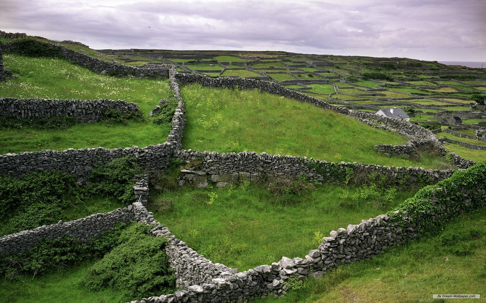 HD PC desktop wallpaper/background of man-made dry stone walls forming a patchwork across rolling green fields under a cloudy sky.
