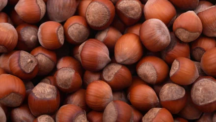  Hazelnuts