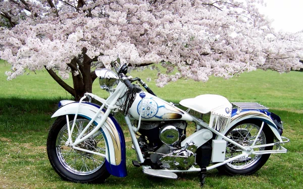 vehicle Indian HD Desktop Wallpaper | Background Image