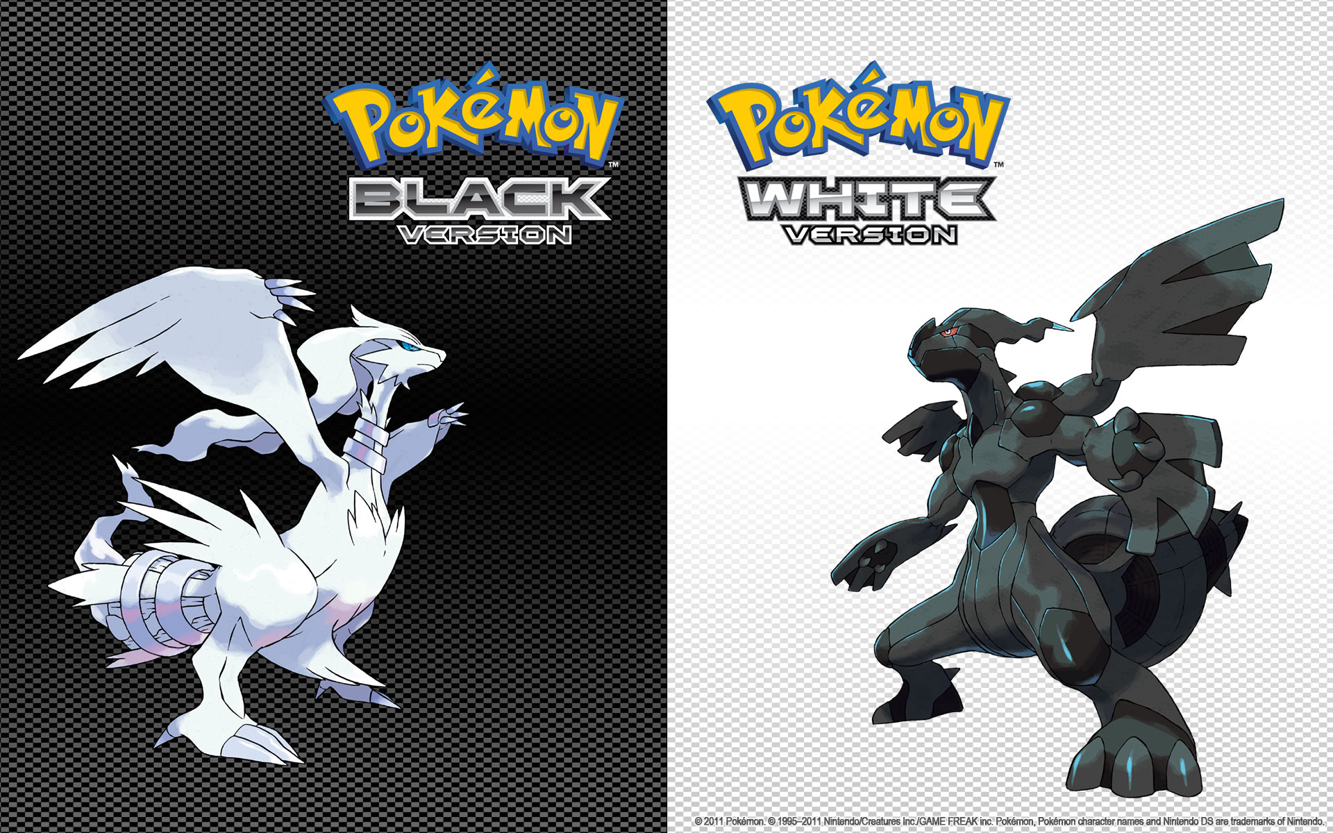 Video Game Pokemon: Black and White HD Wallpaper | Background Image