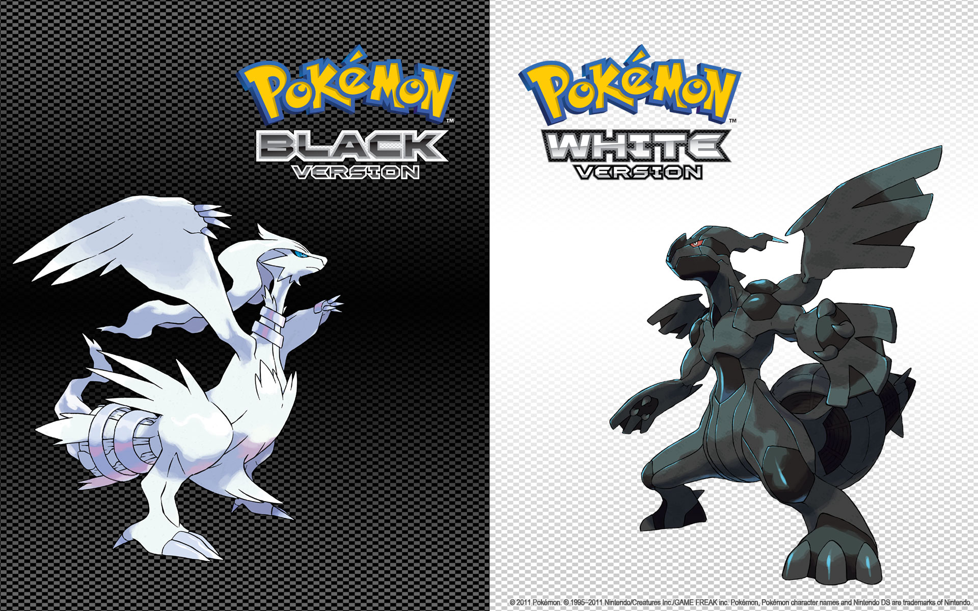 Download Pokemon Black Wallpaper 1920x1200