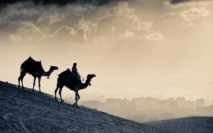A serene HD wallpaper depicting a person riding a camel across a sand dune, set against a dramatic sky, capturing the essence of travel and adventure.