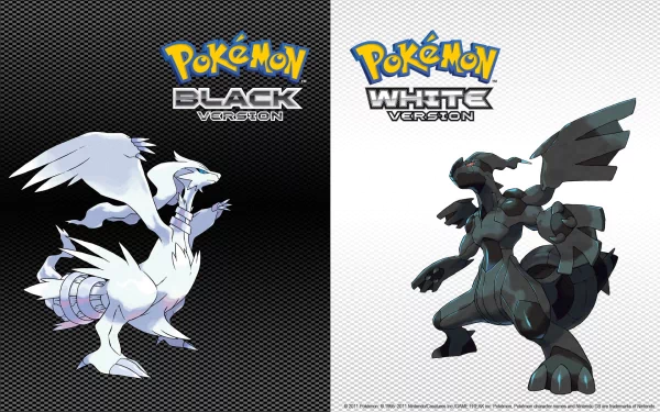 HD desktop wallpaper featuring legendary Pokémon Reshiram from Pokémon Black and Zekrom from Pokémon White, with corresponding game titles displayed above each Pokémon on a contrasting black and white background.