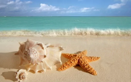 nature seascape HD Desktop Wallpaper | Background Image
