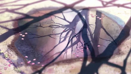 HD anime desktop wallpaper from 5 Centimeters per Second, featuring delicate shadows of tree branches and scattered cherry blossom petals on a reflective surface.