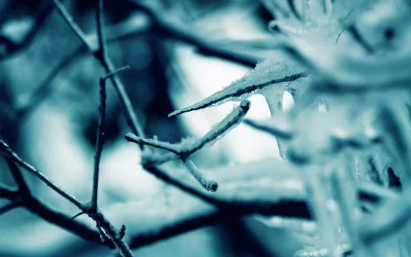 nature ice HD Desktop Wallpaper | Background Image