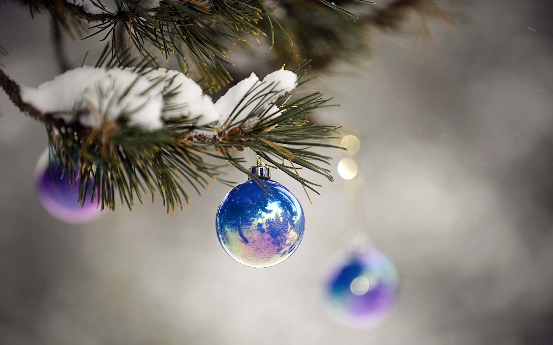 HD Christmas desktop wallpaper featuring snow-dusted pine branches adorned with shiny blue and purple holiday ornaments against a soft, blurred winter background.