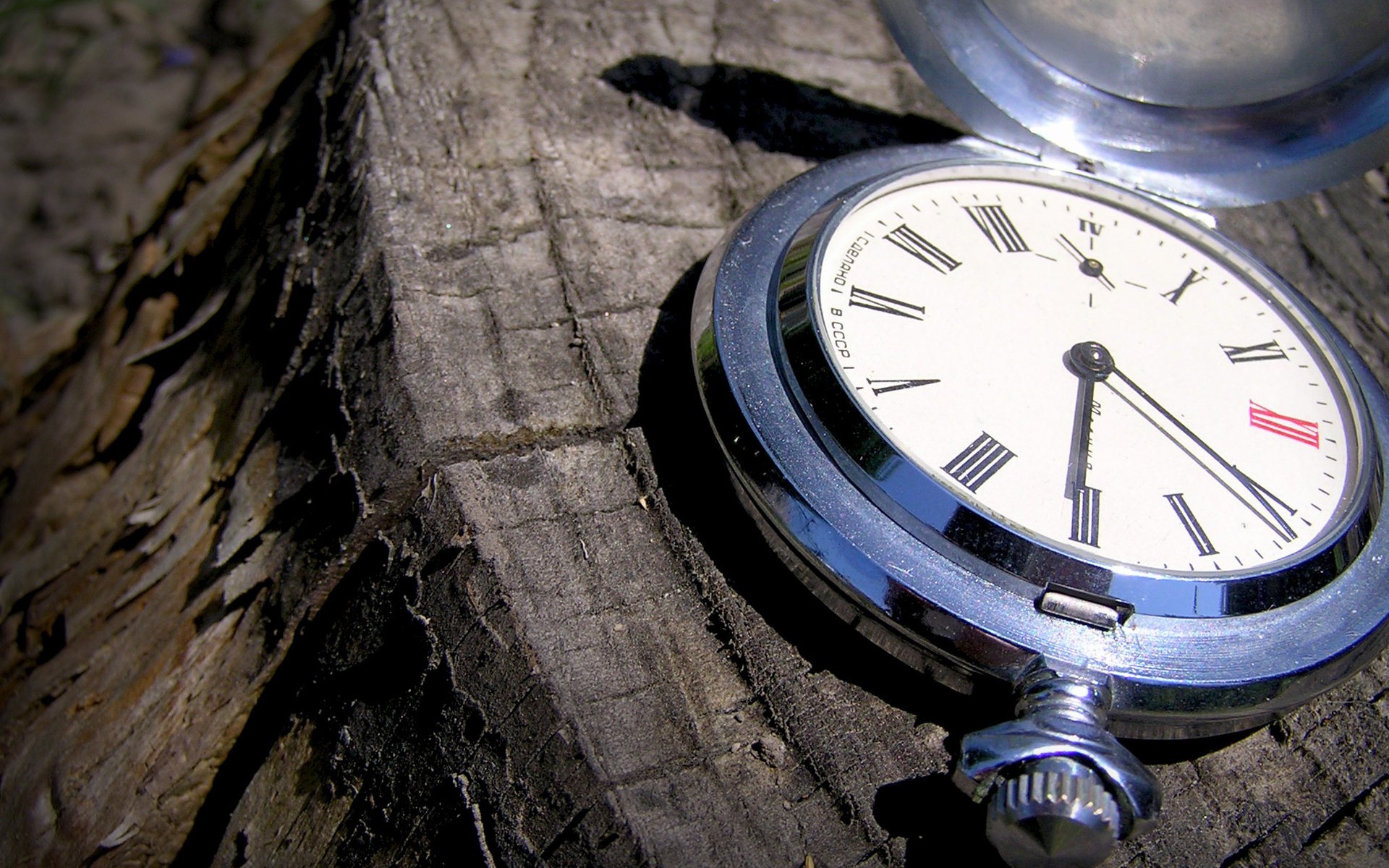 Close-up of a polished pocket watch on weathered tree bark, a man-made watch captured as an HD PC desktop wallpaper and background.
