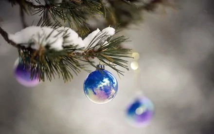 HD Christmas desktop wallpaper featuring snow-dusted pine branches adorned with shiny blue and purple holiday ornaments against a soft, blurred winter background.