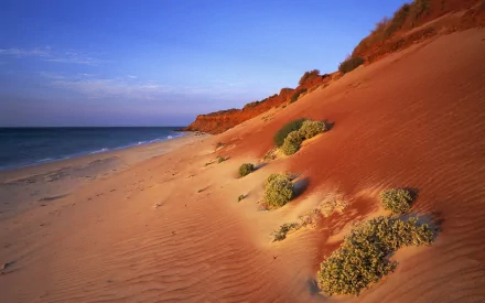 Red Sand Dunes In Western Australia