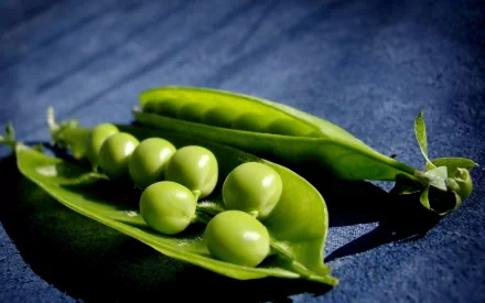 Close-up of fresh green peas in open pods on a dark textured surface, presented as an HD PC desktop wallpaper and background.