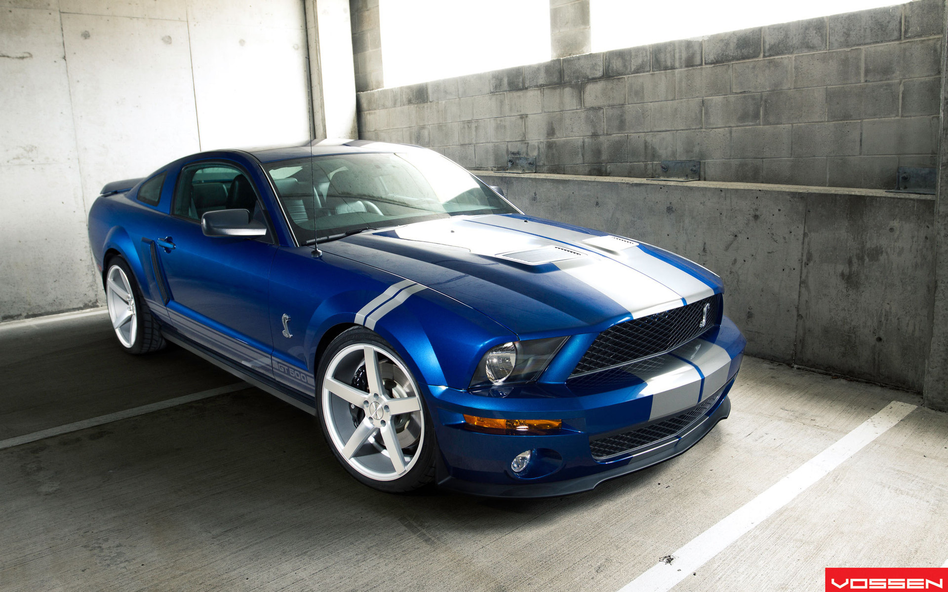 Shelby HD Wallpaper