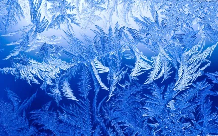 An abstract design featuring intricate ice patterns on a blue background, creating a visually striking HD wallpaper for desktops.