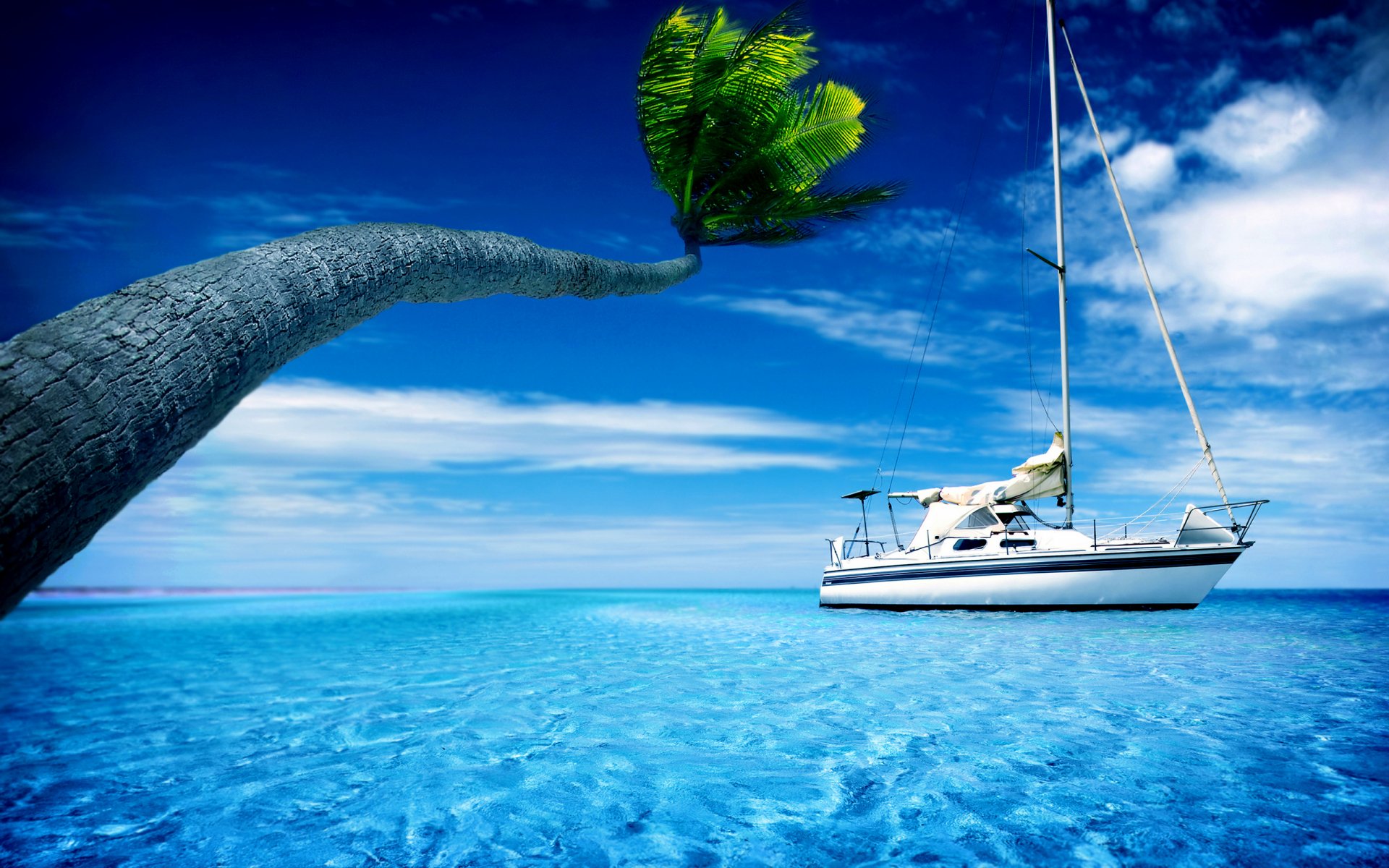 HD desktop wallpaper showcasing a sailboat anchored in clear blue waters beneath a vibrant sky, with a palm tree extending over the serene ocean scene.