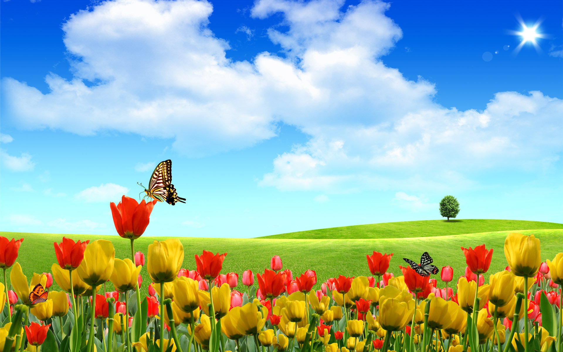 Vibrant photography manipulation of a colorful tulip field under a bright blue sky, featuring butterflies and a distant lone tree, designed as a HD PC desktop wallpaper.