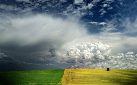 nature season HD Desktop Wallpaper | Background Image