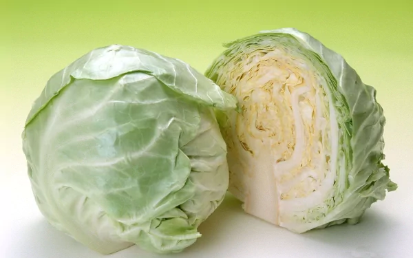 HD PC desktop wallpaper featuring a fresh whole cabbage and a half cabbage against a soft green background, highlighting vibrant food detail.